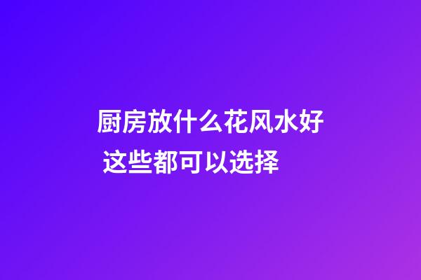 厨房放什么花风水好 这些都可以选择